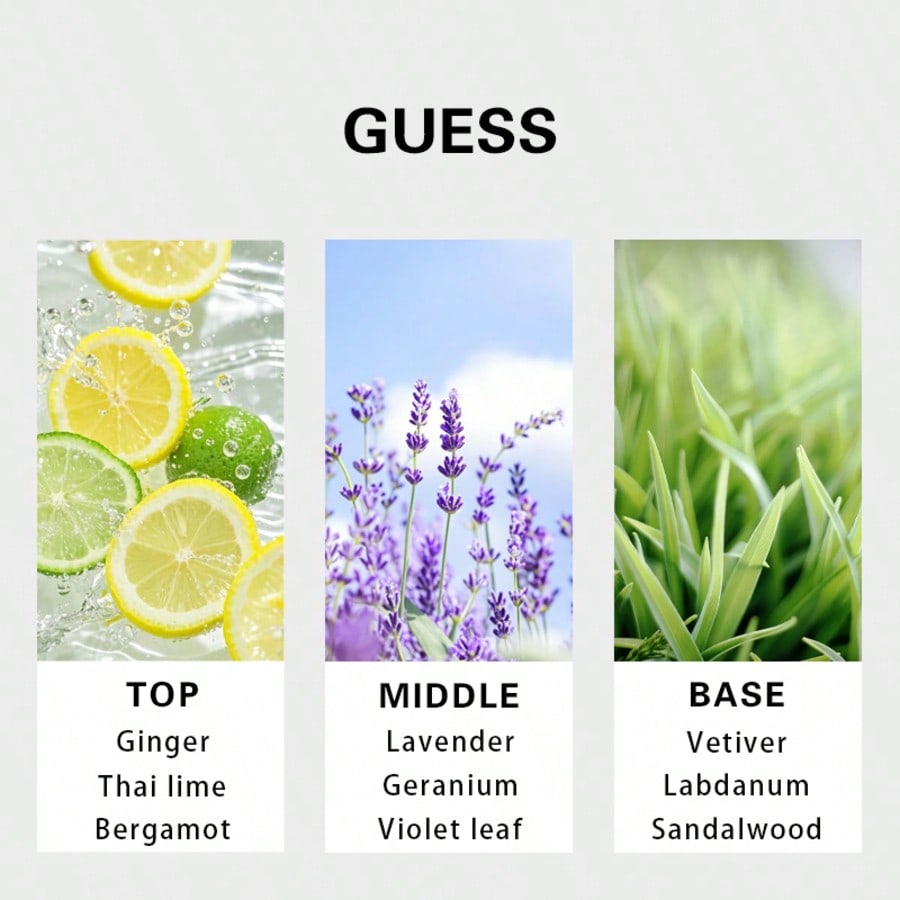 Guess Forever men Eau De Toile - Perfume Fragrance Notes recension och pris